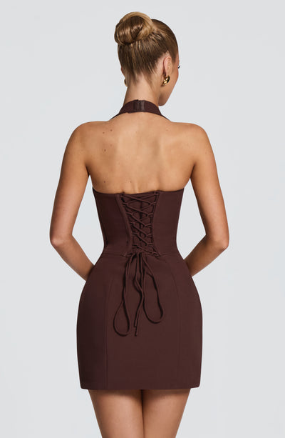 Shop the Charlotte Mini Dress - Plum Brown