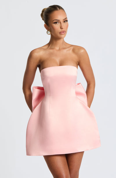 abbey mini dress Abbey Mini Dress | Blush Dress