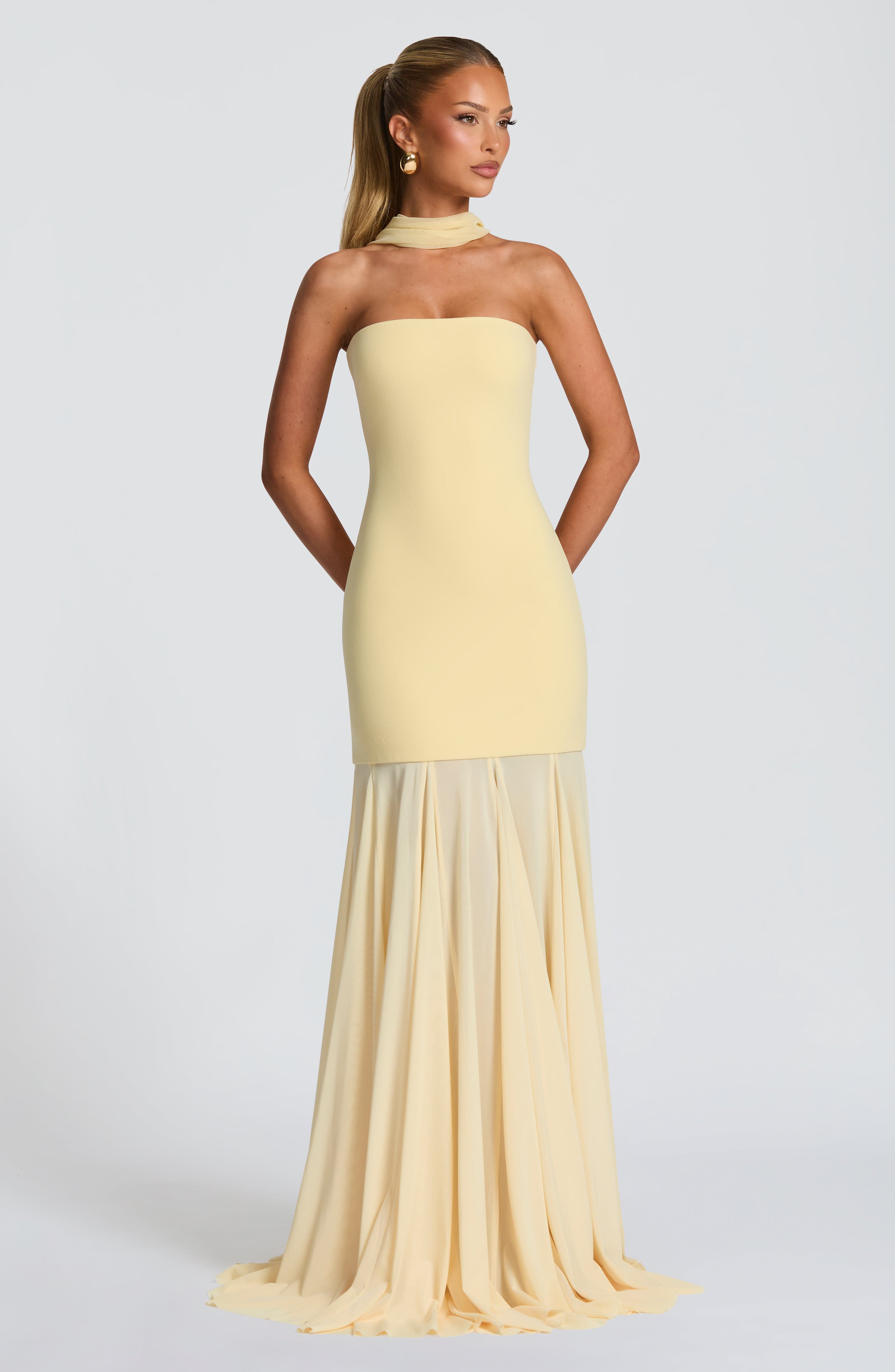 Lucia Embellished gown - Lemon main image 1