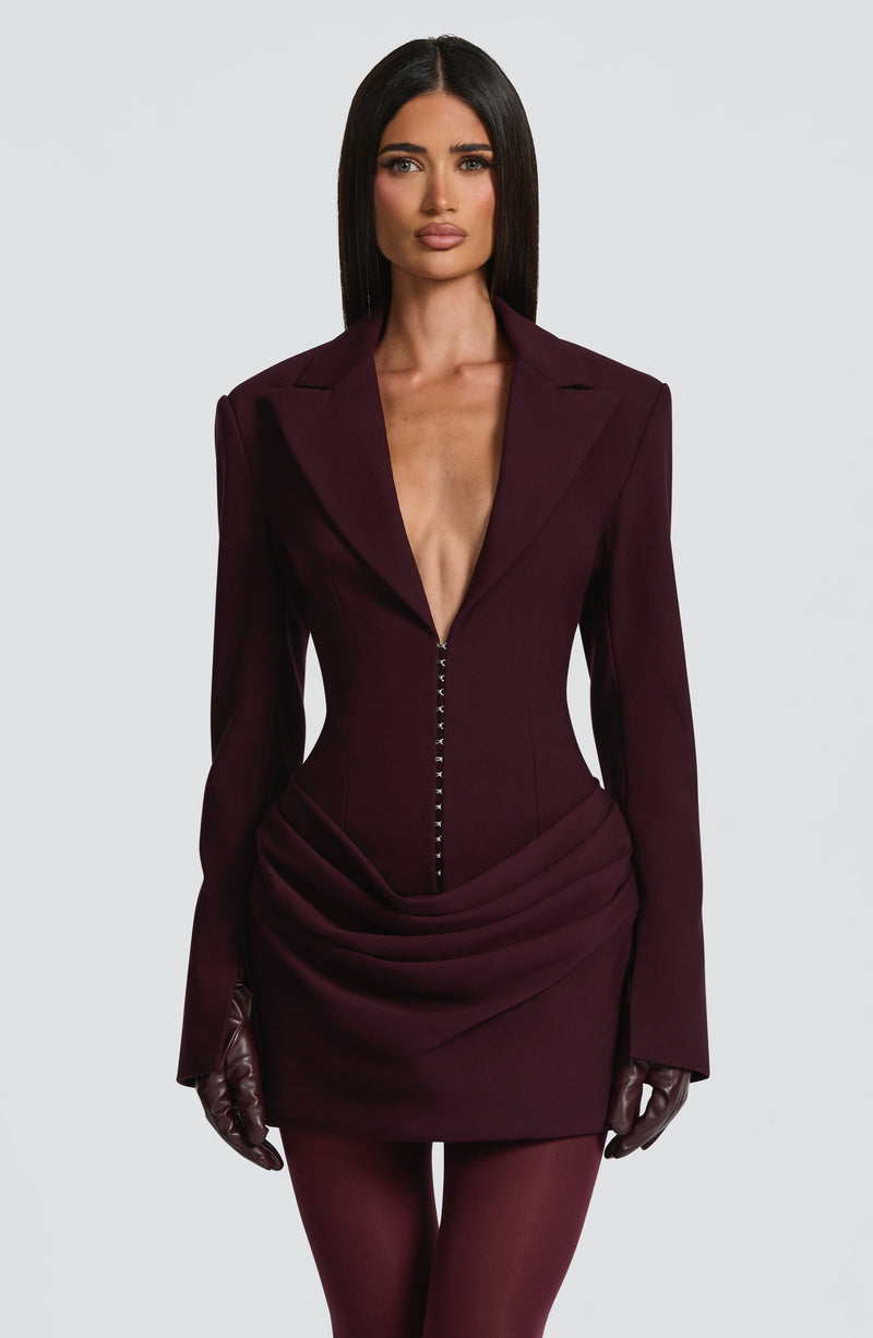 grazie mini dress plum Riley Mesh Mini Dress - Plum